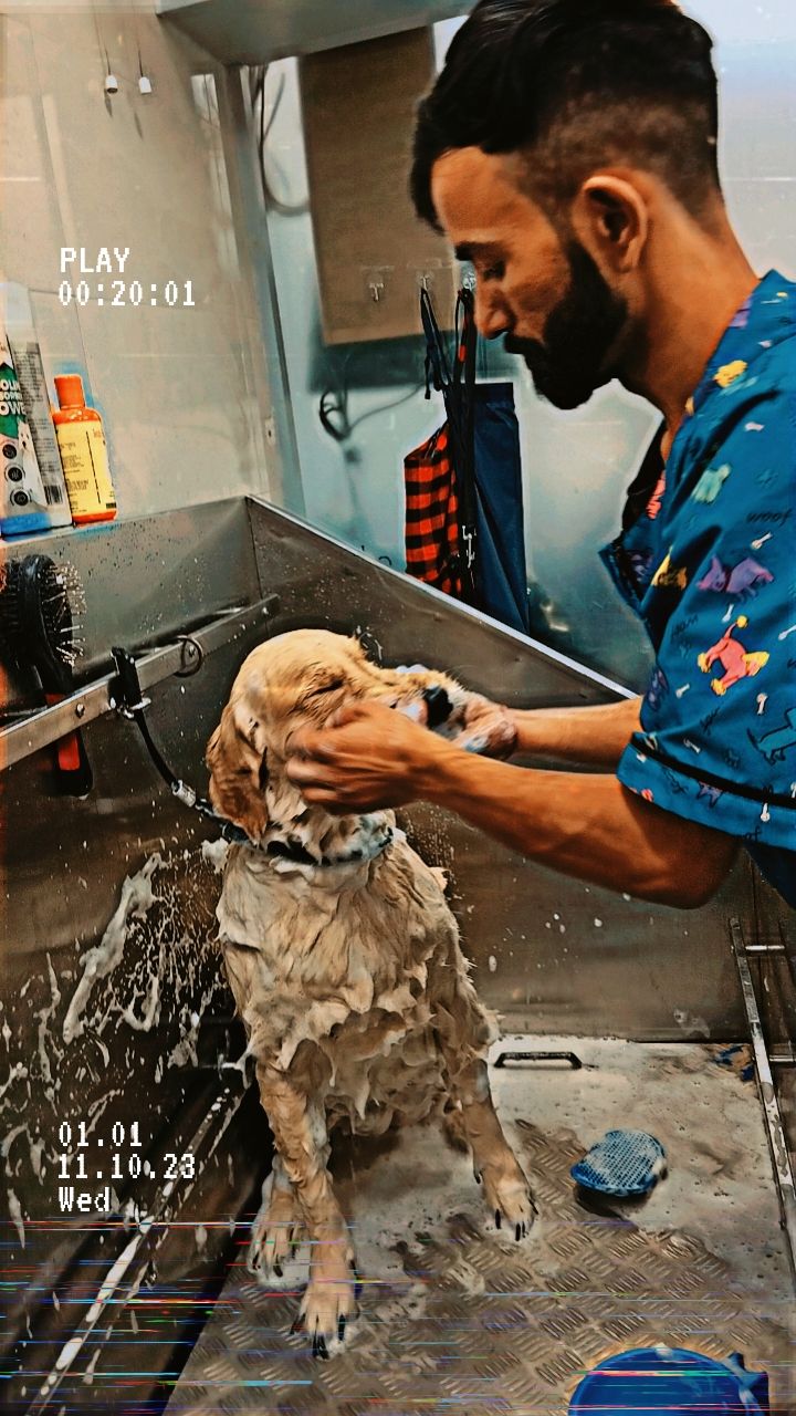 Pet Care